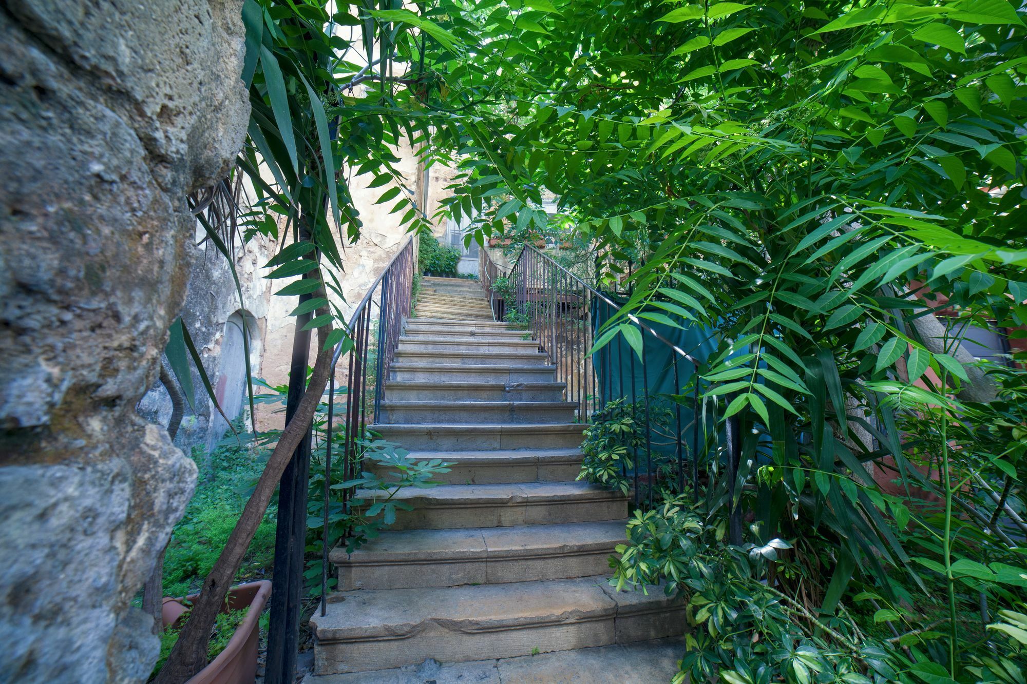 Hostel Nouveau Du Liban Beirut